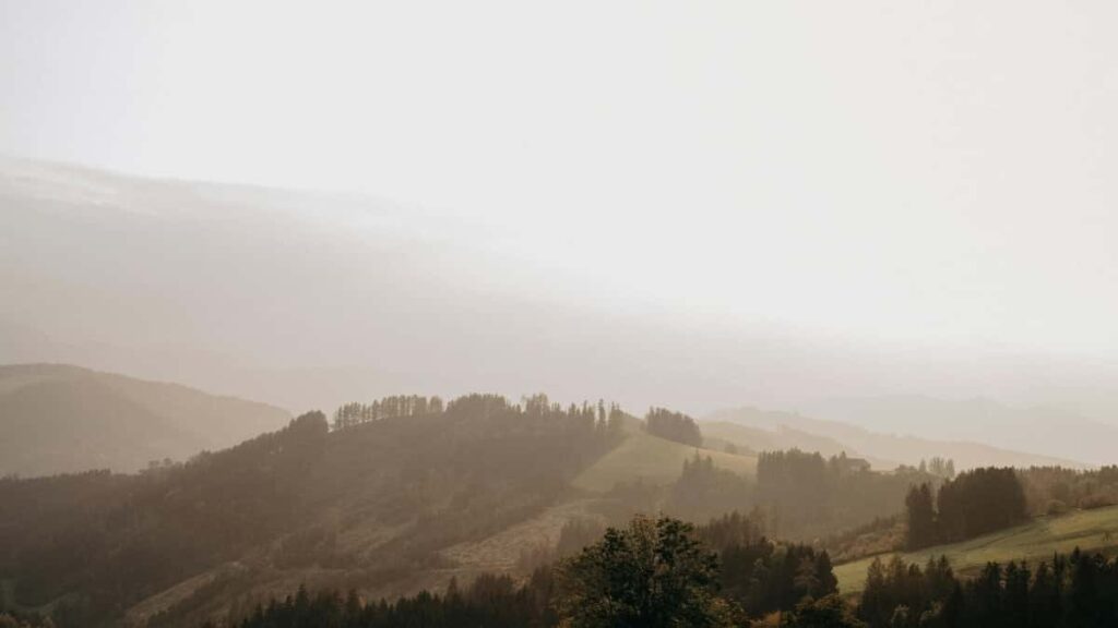 2025 Romania Instagram Full-Category Advertising Rate Card