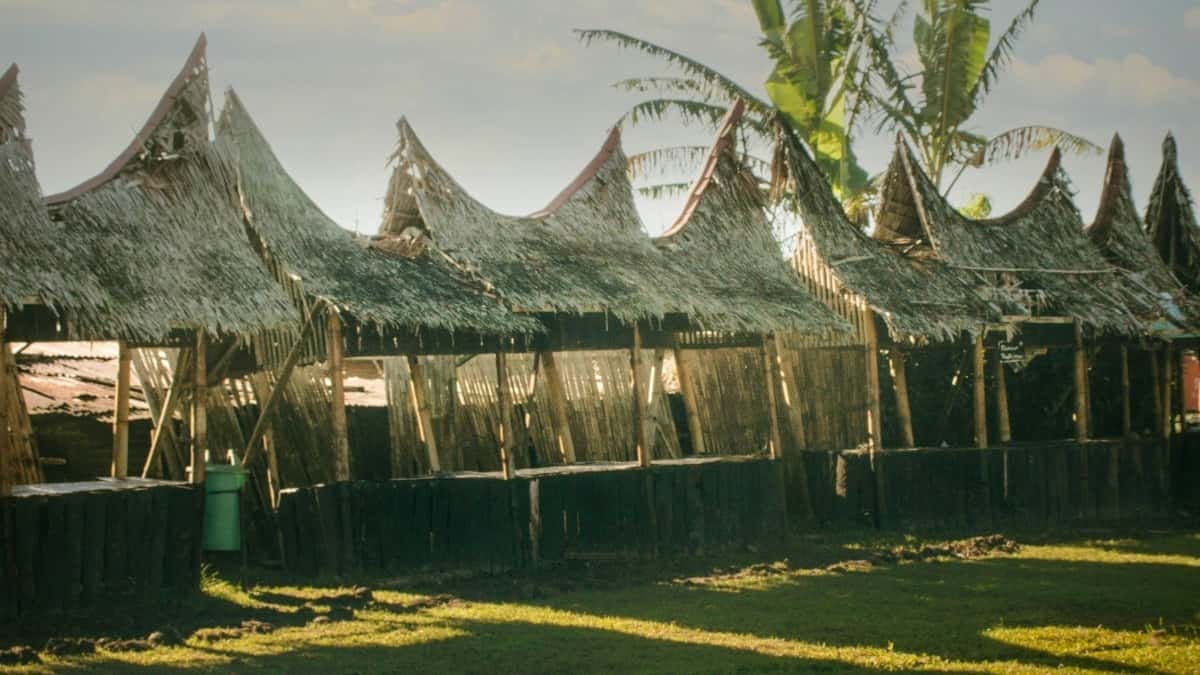 Маркетъри: Myanmar Josh творци за product seeding