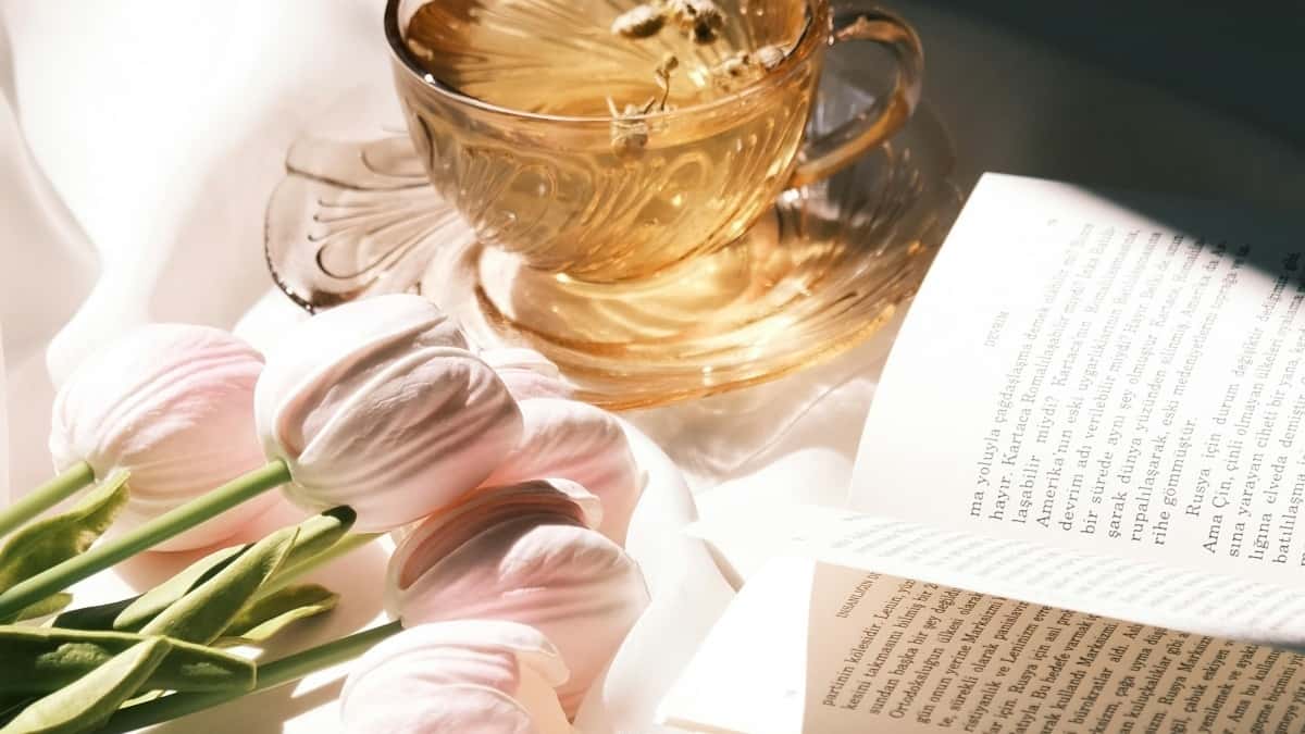 Португалски Roposo креатори: намиране и фиксирани сделки