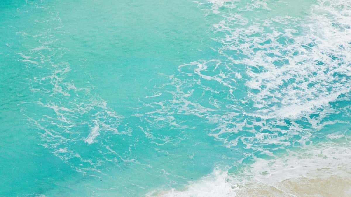 Креатори BG: Как да достигнем Kuwait брандове в Telegram
