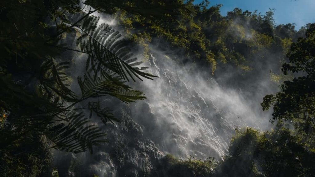 , Netflix , o productled growth creator content.