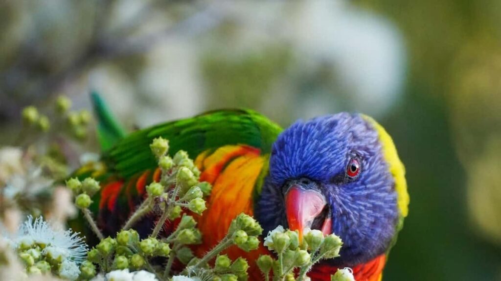 : Takatak giveaway , .