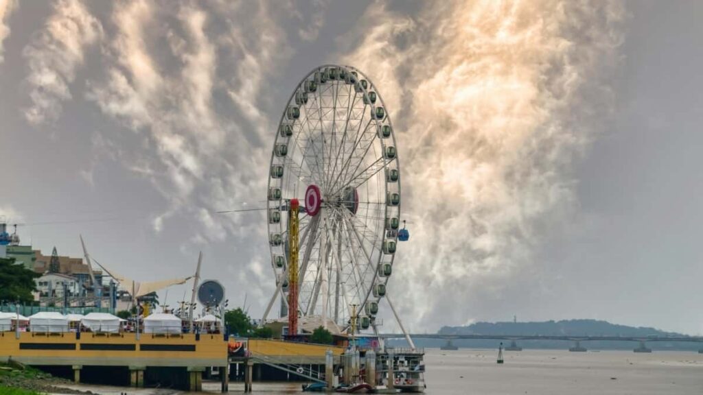 : Amazon creatorled .