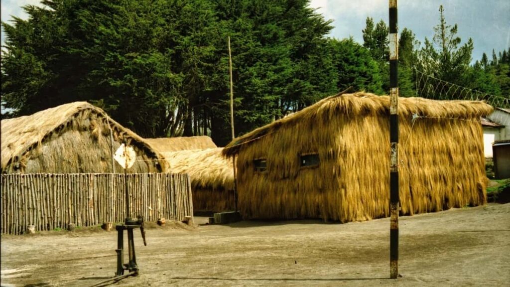 : , Disney Plus , AI-.