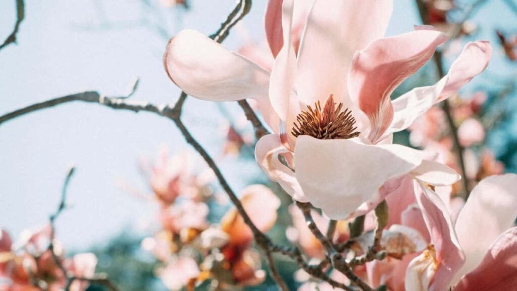 : Spotify e, UGC travel gear .