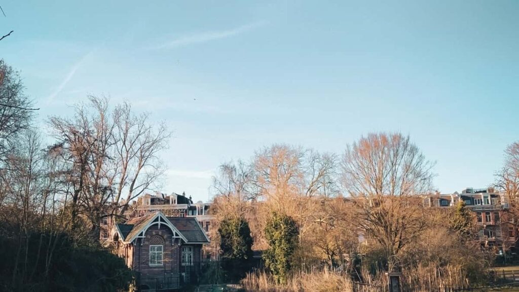 : Disney Plus , creatorled tutorial , .