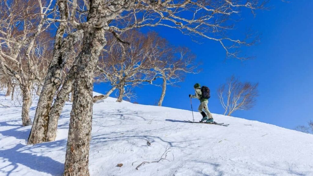 : , Kuaishou UGC 2026 .