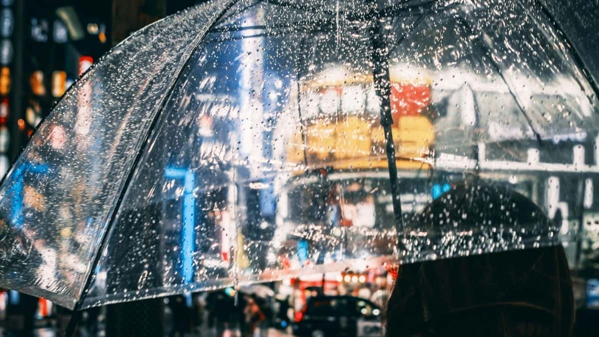 Креатори: как да стигнете до грузински брандове в Josh и да спечелите доверието на спонсори